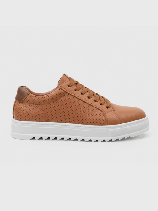 Arion terra pour homme